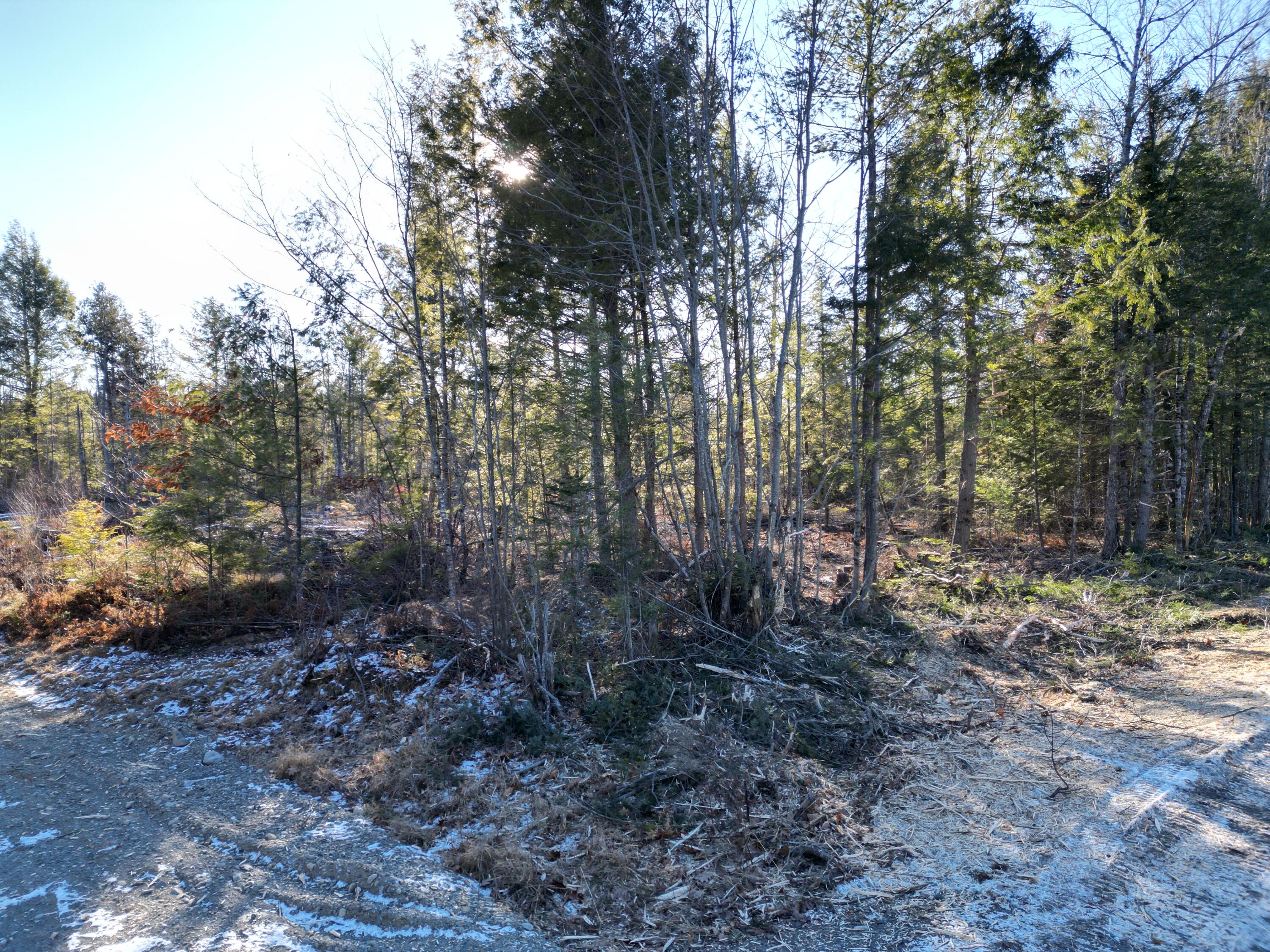 Lot 1 Mattamiscontis Road Howland, ME 04448 - Photo 7 of 8 DJI_0087