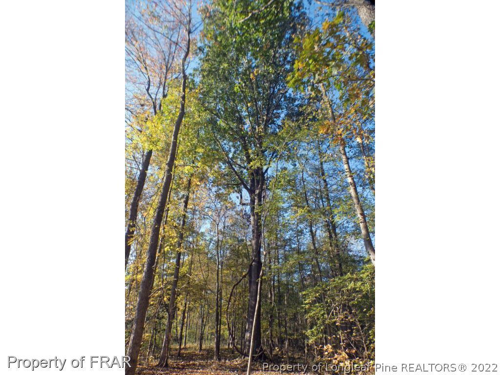 1st Road Moncure, NC 27559 - Photo 14 of 15 Gallery Image 14
