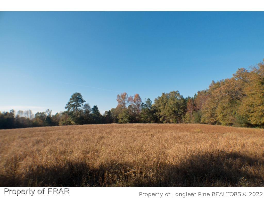 1st Road Moncure, NC 27559 - Photo 5 of 15 Gallery Image 5