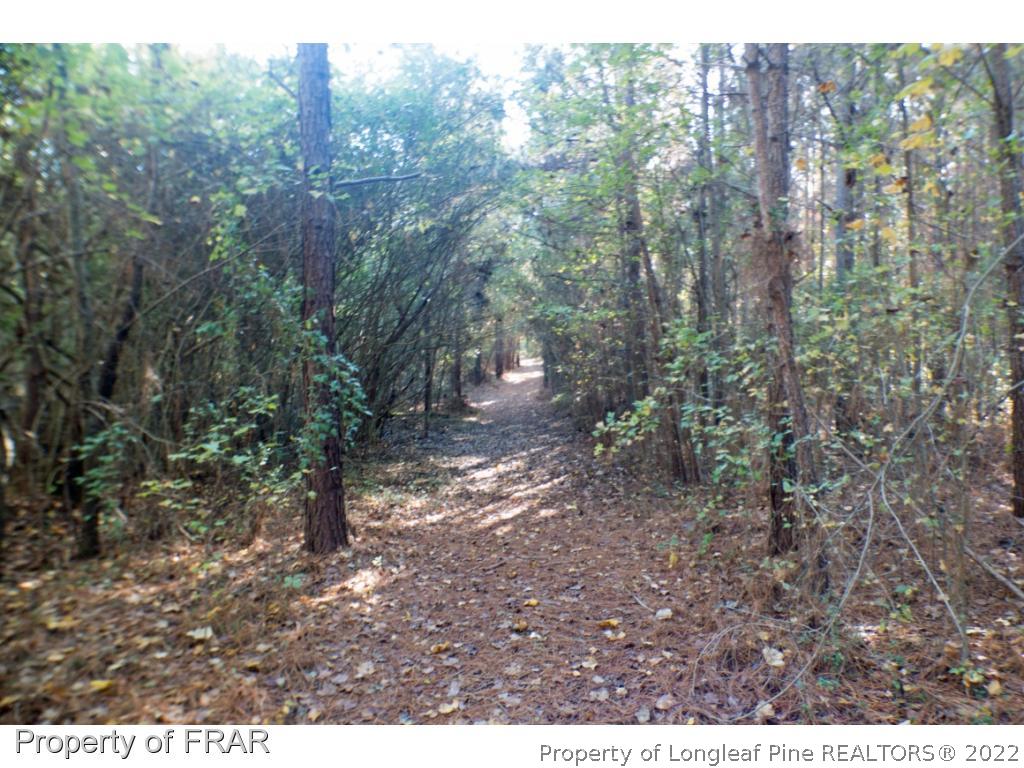 1st Road Moncure, NC 27559 - Photo 7 of 15 Gallery Image 7