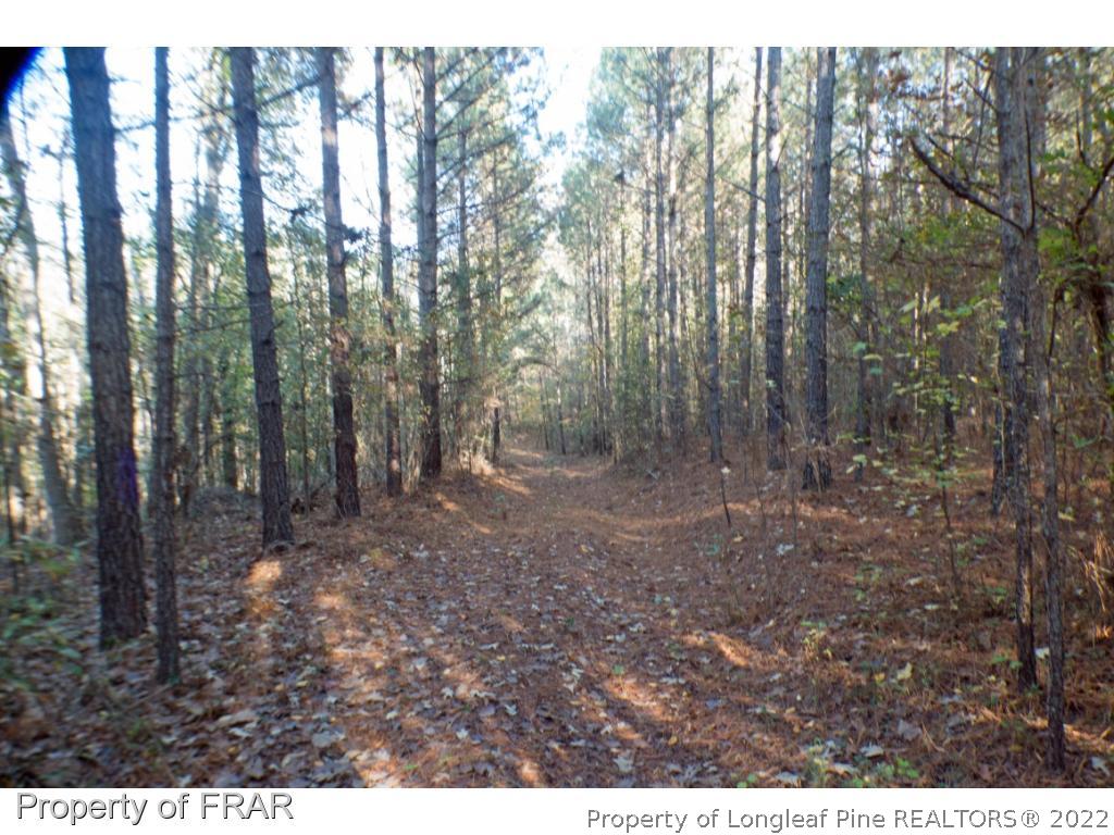 1st Road Moncure, NC 27559 - Photo 8 of 15 Gallery Image 8