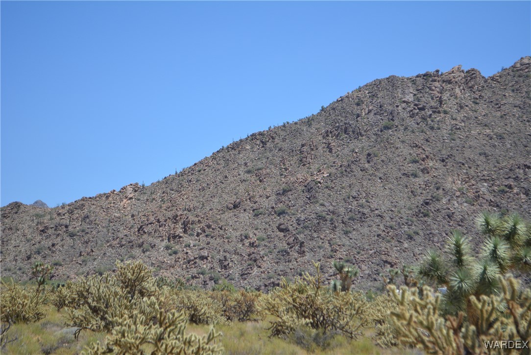 11626 Sherry Road Yucca, AZ 86438 - Photo 1 of 56 a view of a dry yard with mountains in the background