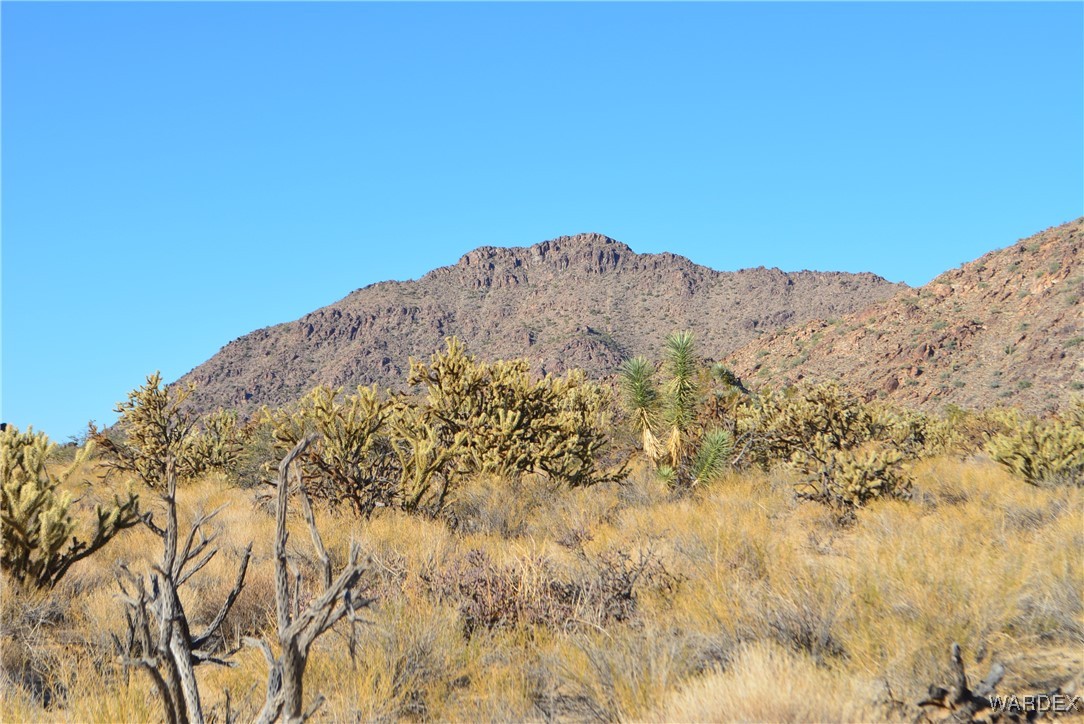11626 Sherry Road Yucca, AZ 86438 - Photo 11 of 56 a view of a dry yard with mountains in the background