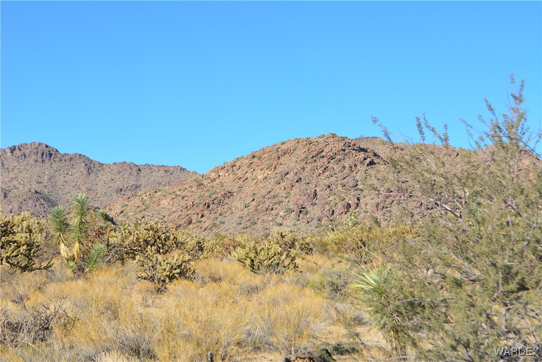 11626 Sherry Road Yucca, AZ 86438 - Photo 12 of 56 a view of a dry yard with mountains in the background