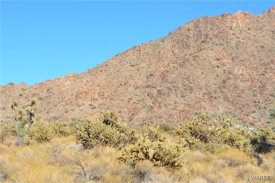 11626 Sherry Road Yucca, AZ 86438 - Photo 15 of 56 a view of a dry yard with a mountain