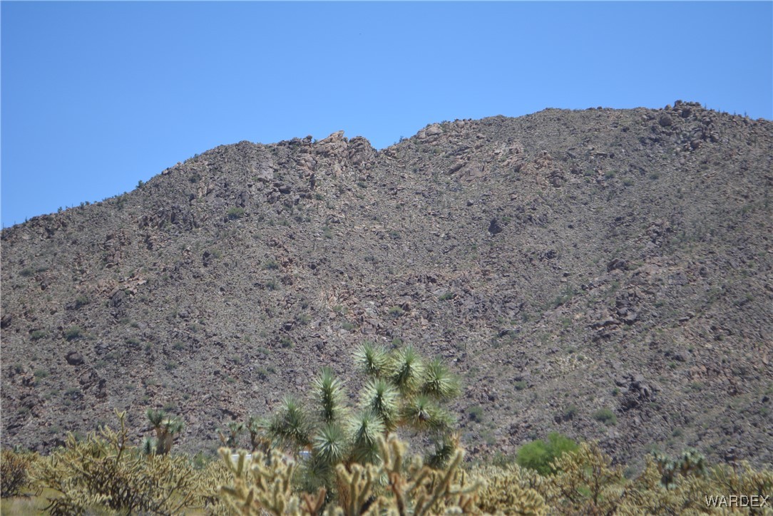 11626 Sherry Road Yucca, AZ 86438 - Photo 2 of 56 a view of a dry yard with mountains in the background