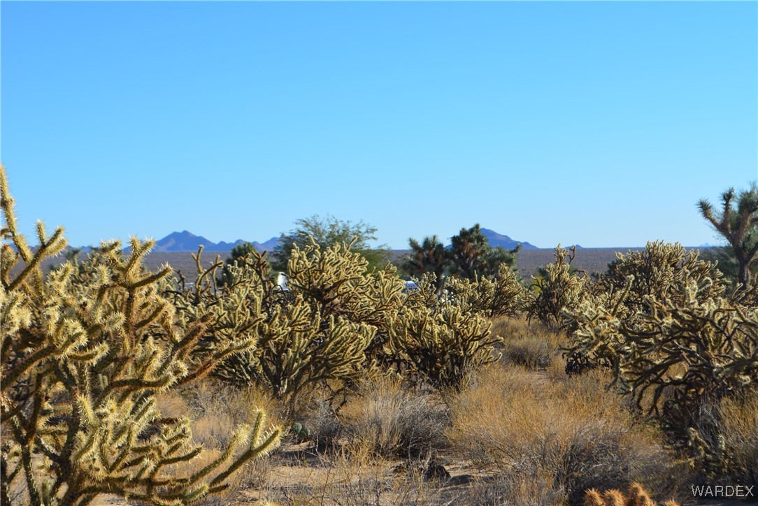11626 Sherry Road Yucca, AZ 86438 - Photo 22 of 56 a view of a large body of water with a tree in the background