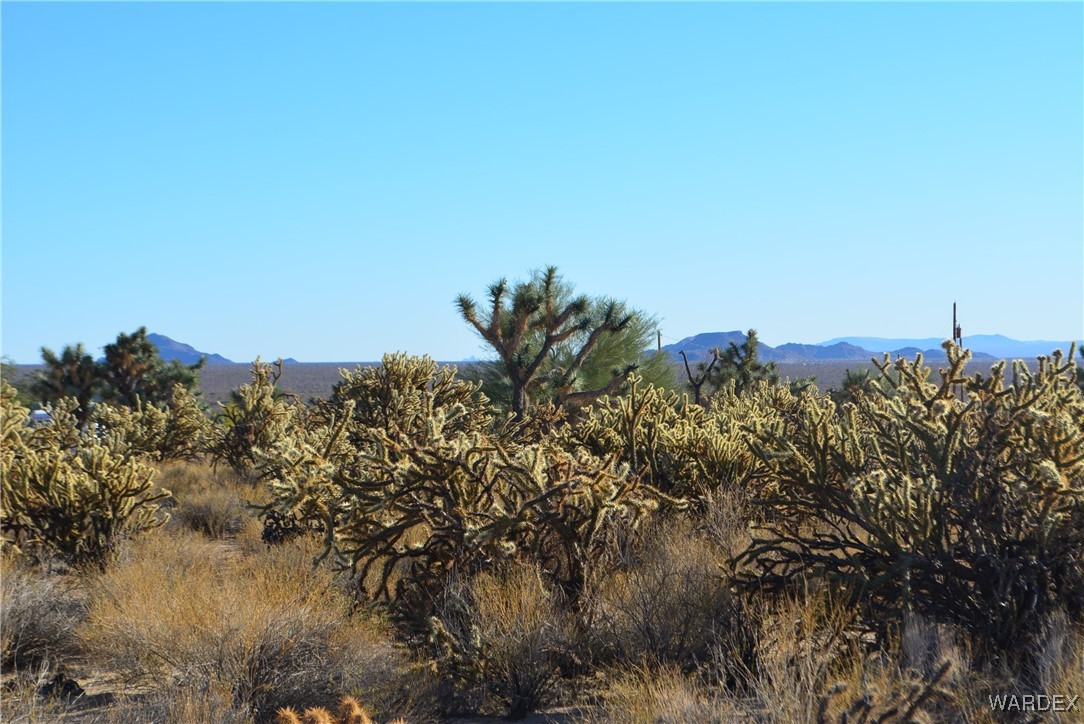 11626 Sherry Road Yucca, AZ 86438 - Photo 23 of 56 View