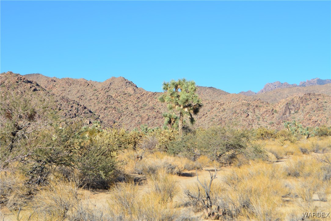 11626 Sherry Road Yucca, AZ 86438 - Photo 25 of 56 a view of a dry yard with mountains in the background