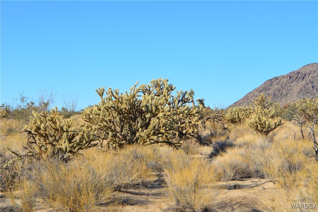 11626 Sherry Road Yucca, AZ 86438 - Photo 26 of 56 a view of a large body of water with a building in the background