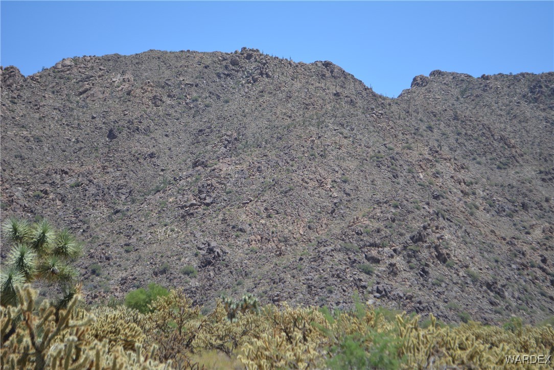 11626 Sherry Road Yucca, AZ 86438 - Photo 3 of 56 a view of a dry field with trees in the background