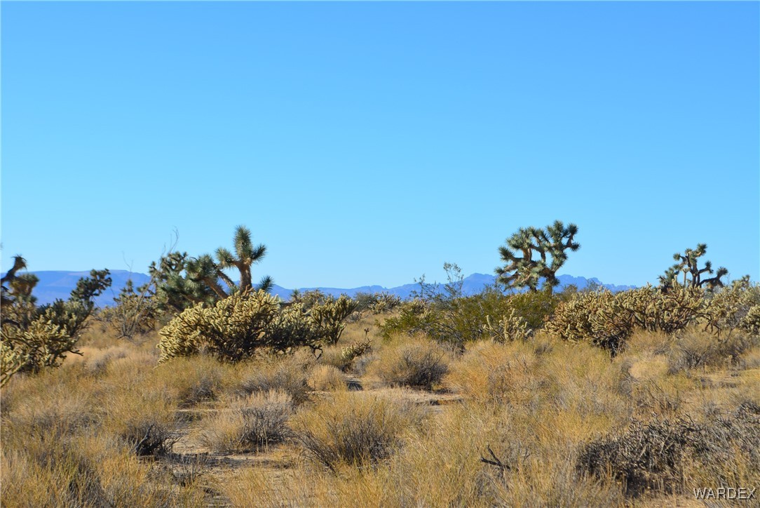 11626 Sherry Road Yucca, AZ 86438 - Photo 33 of 56 Other