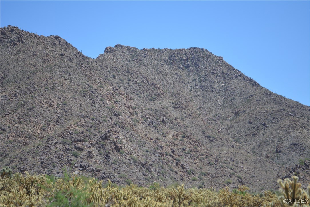 11626 Sherry Road Yucca, AZ 86438 - Photo 4 of 56 a view of a dry yard with mountains in the background