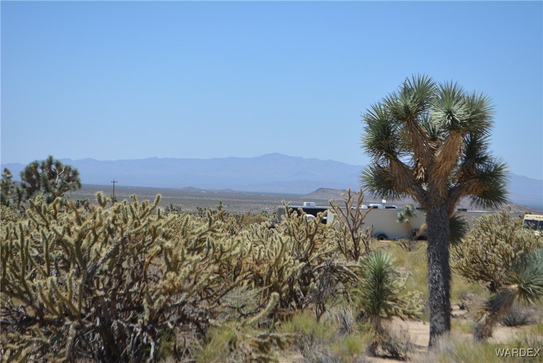 11626 Sherry Road Yucca, AZ 86438 - Photo 48 of 56 a view of a city with lush green forest