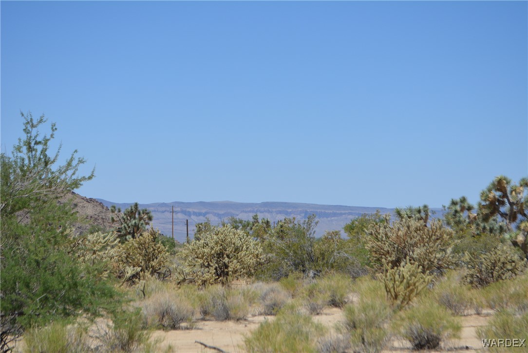 11626 Sherry Road Yucca, AZ 86438 - Photo 49 of 56 a view of a field with a tree in the background