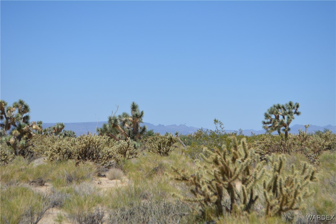 11626 Sherry Road Yucca, AZ 86438 - Photo 51 of 56 Other