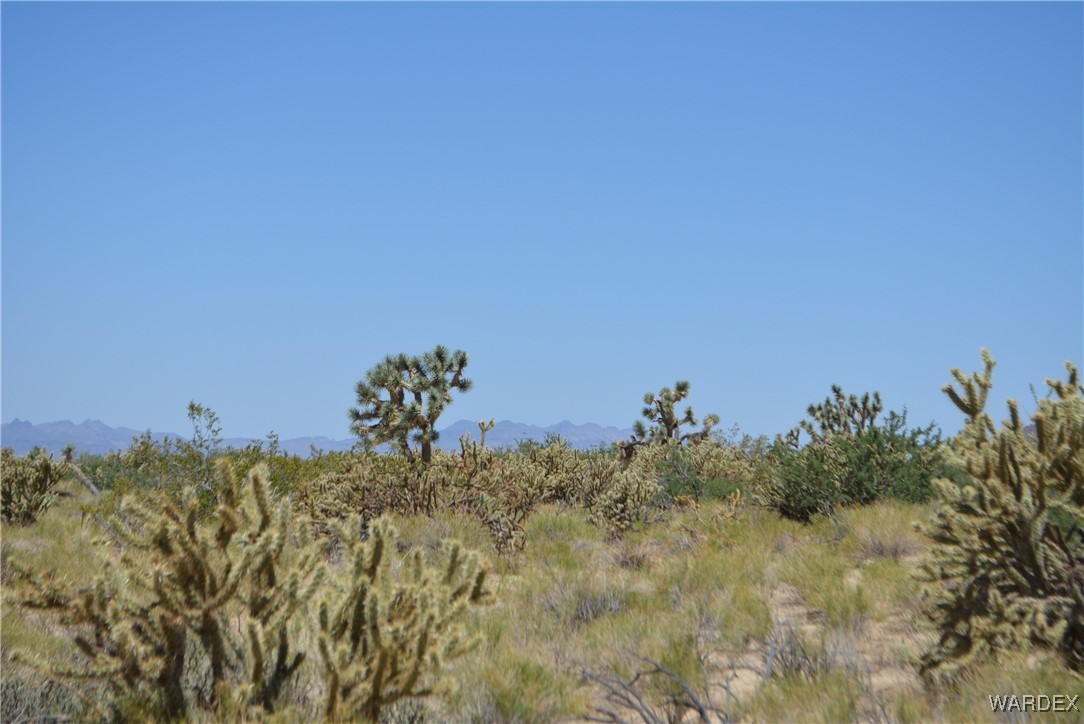 11626 Sherry Road Yucca, AZ 86438 - Photo 52 of 56 a view of a lake