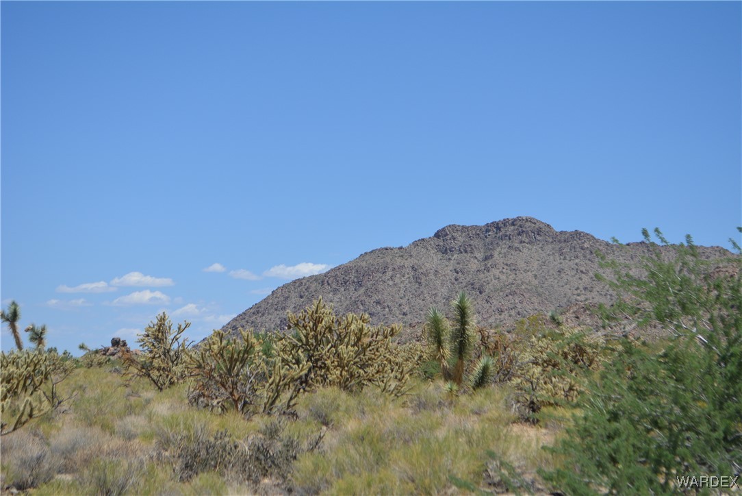 11626 Sherry Road Yucca, AZ 86438 - Photo 53 of 56 a view of a dry yard with trees in the background
