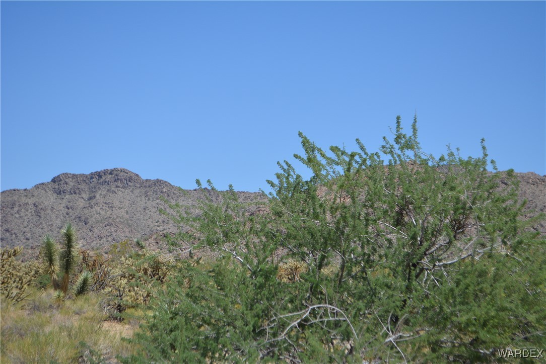 11626 Sherry Road Yucca, AZ 86438 - Photo 54 of 56 a view of a field with a tree in the background
