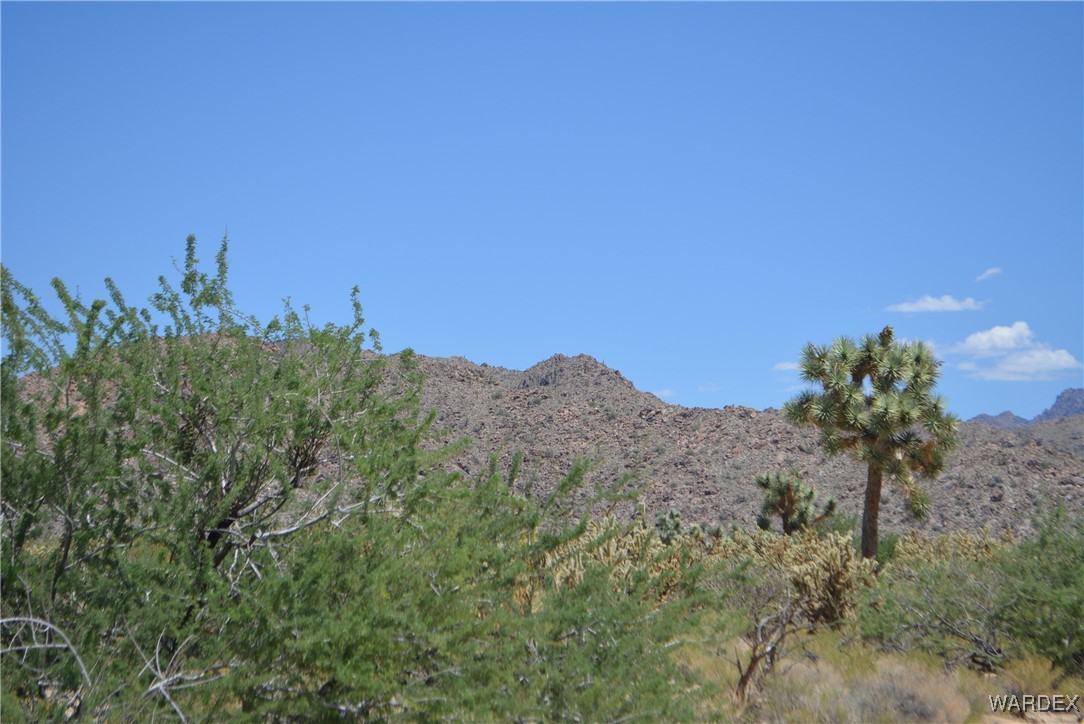 11626 Sherry Road Yucca, AZ 86438 - Photo 55 of 56 a view of a dry field