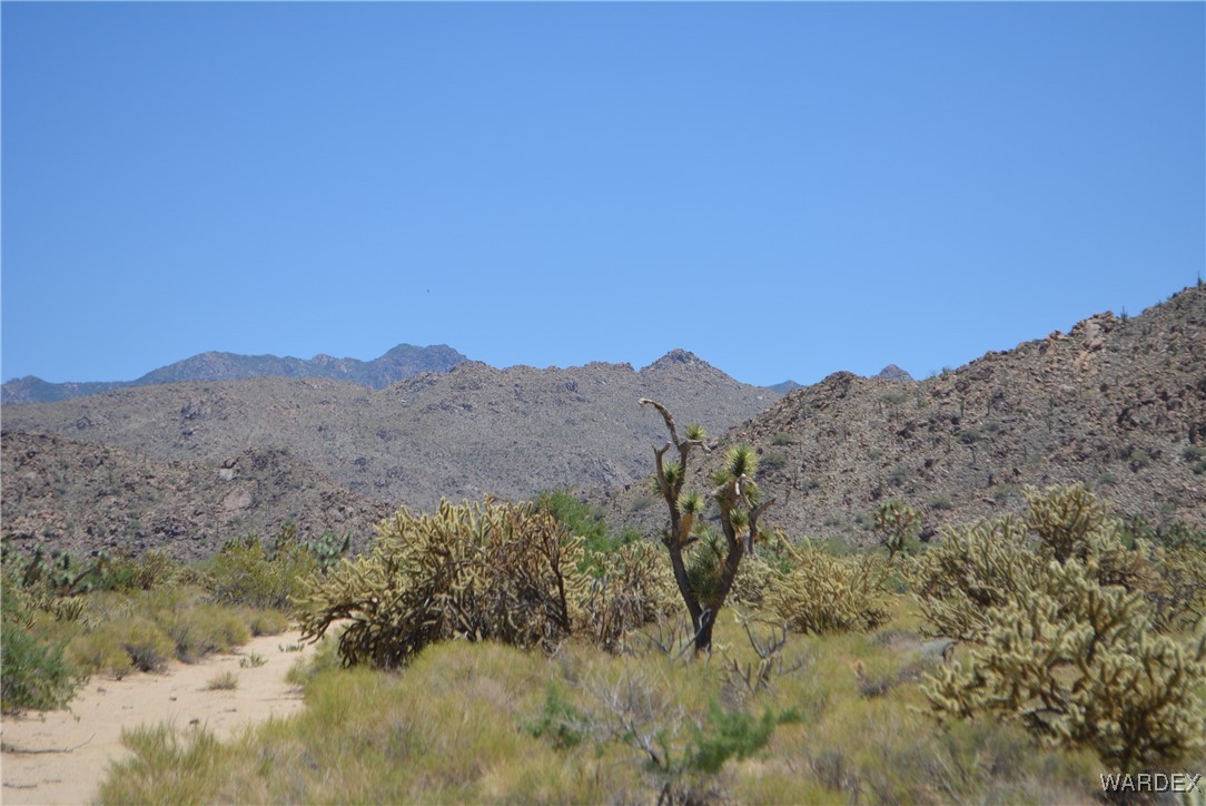 11626 Sherry Road Yucca, AZ 86438 - Photo 56 of 56 a view of a dry yard with mountains in the background