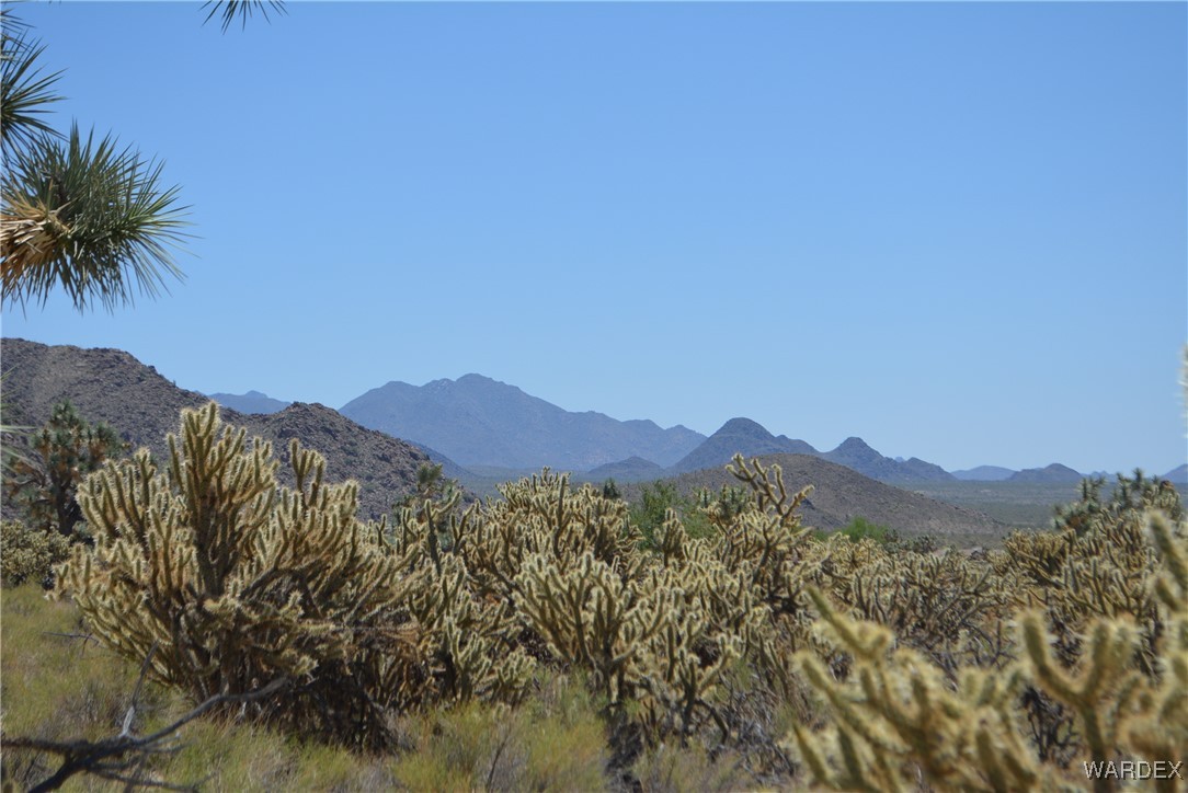 11626 Sherry Road Yucca, AZ 86438 - Photo 7 of 56 a view of a city with mountains in the background