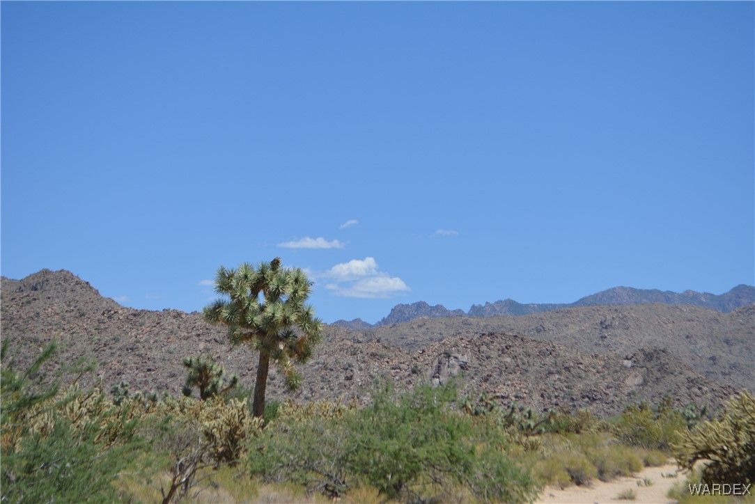 11626 Sherry Road Yucca, AZ 86438 - Photo 8 of 56 a view of a mountain