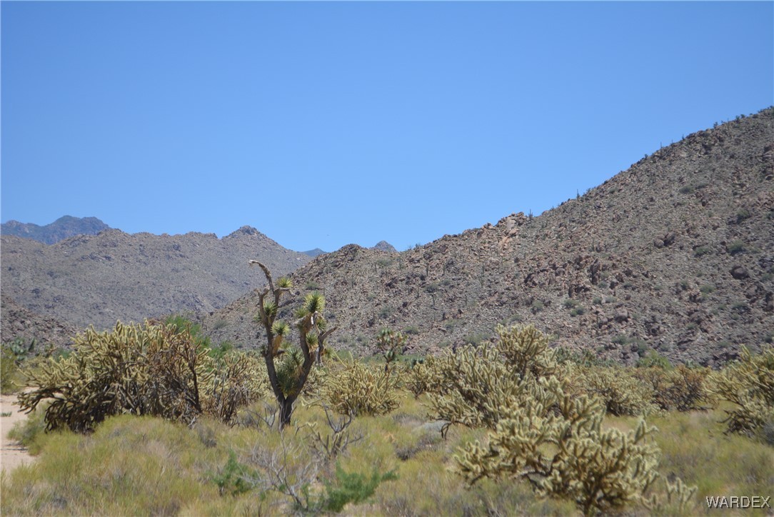 11626 Sherry Road Yucca, AZ 86438 - Photo 9 of 56 a view of a dry yard with mountains in the background