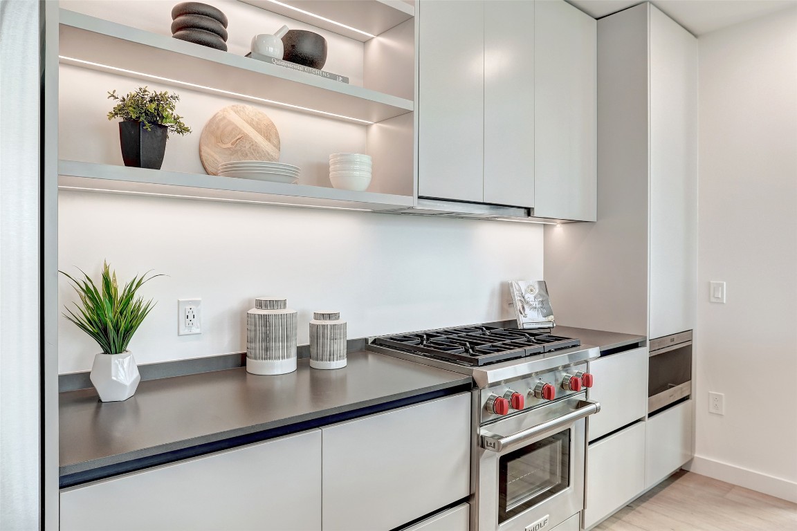 610 Davis Street, Unit 3008 Austin, TX 78701 - Photo 10 of 39 a kitchen with a potted plant on the counter