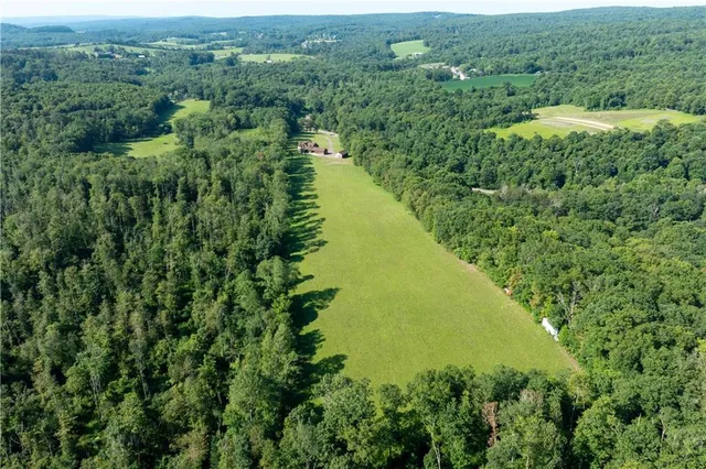 a view of a green yard with large trees