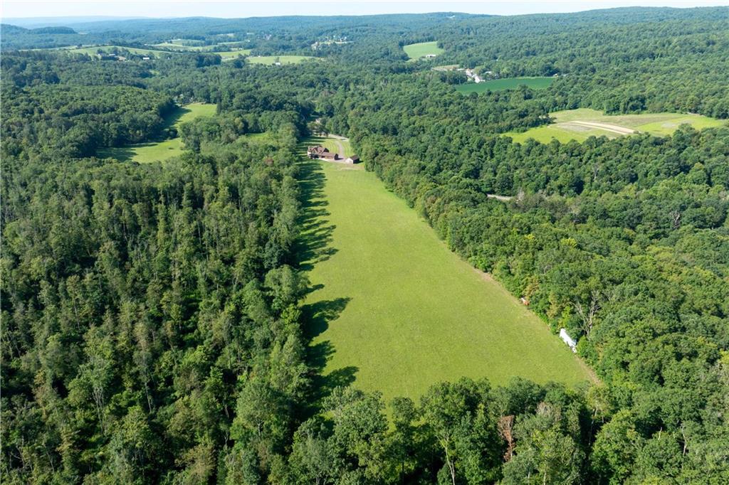171 Mae West Road Confluence, PA 15424 - Photo 42 of 46 a view of a green yard with large trees