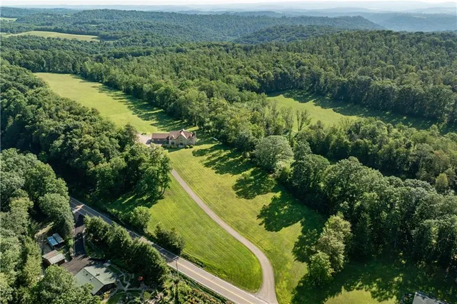 an aerial view of green landscape with trees houses and mountain view
