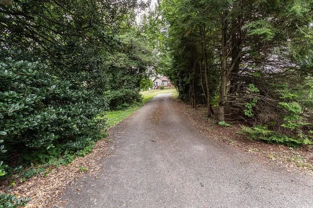 a view of a road with plants and a yard