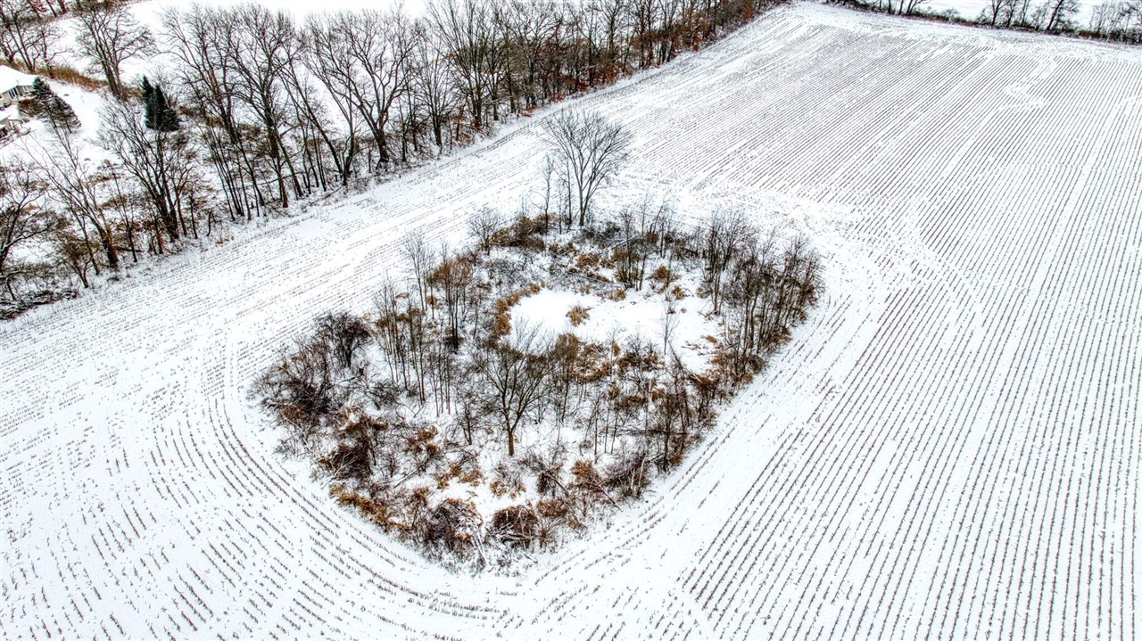 40 West Berry Road Jackson, MI 49201 - Photo 6 of 20