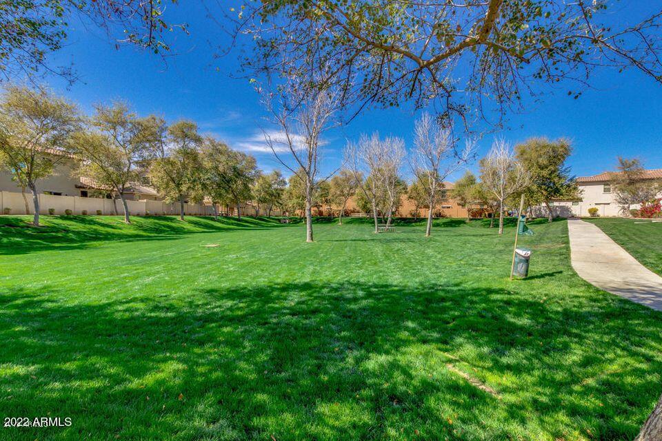 3796 East Timberline Road Gilbert, AZ 85297 - Photo 61 of 75 lots of green grass