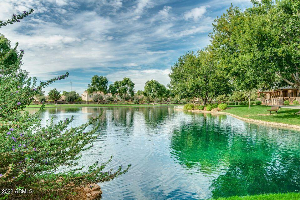 3796 East Timberline Road Gilbert, AZ 85297 - Photo 68 of 75 beautiful community lake