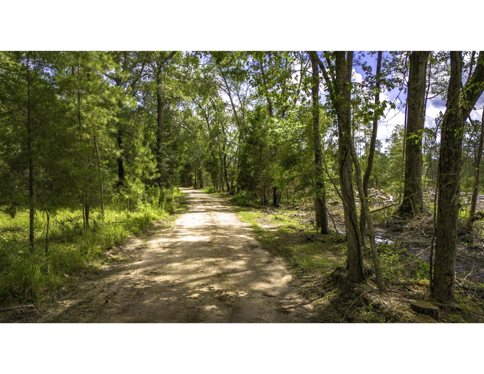 Tbd Tbd Road Moscow, TX 75960 - Photo 7 of 7