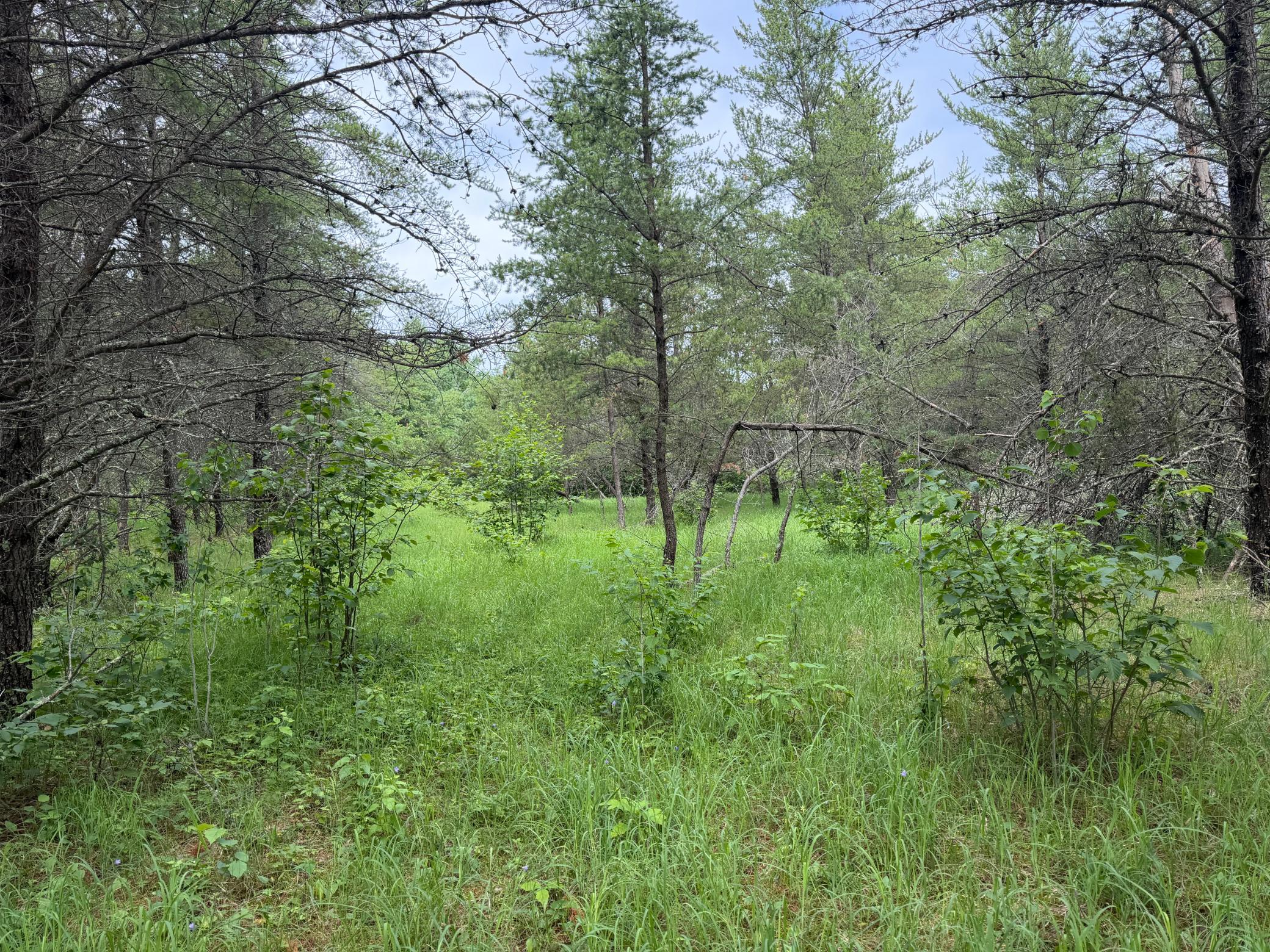 Tbd 350th Street Sebeka, MN 56477 - Photo 50 of 100