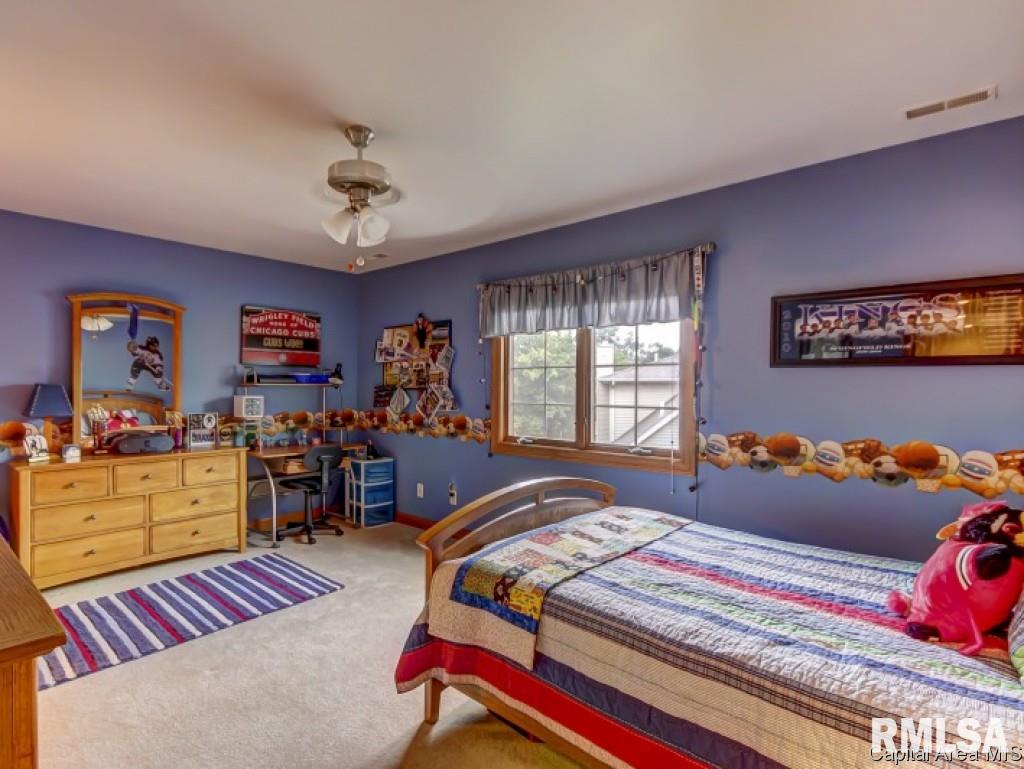 10 Riverwood Drive Rochester, IL 62563 - Photo 24 of 36 Gallery Image 24