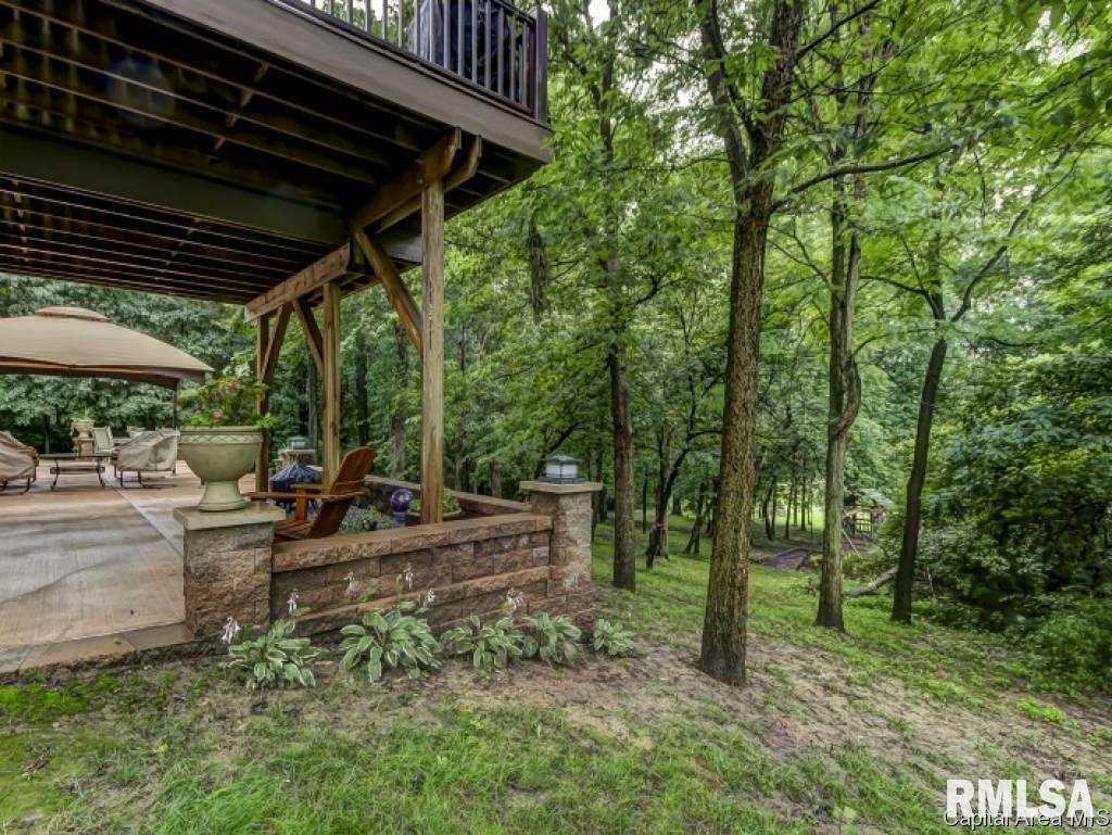 10 Riverwood Drive Rochester, IL 62563 - Photo 34 of 36 Gallery Image 34