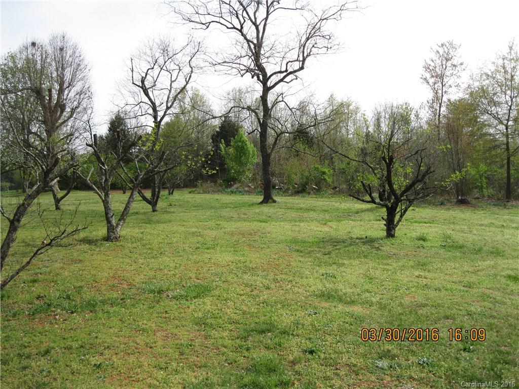 2824 Joe Johnson Road, Unit PTS 1 & 2 Catawba, NC 28609 - Photo 10 of 23 a big yard with lots of green space and trees