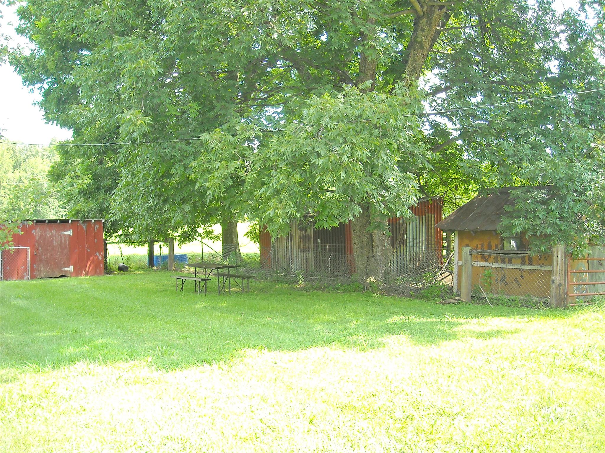 2152 Chambliss Road Pleasant View, TN 37146 - Photo 19 of 24 a view of a backyard with large trees