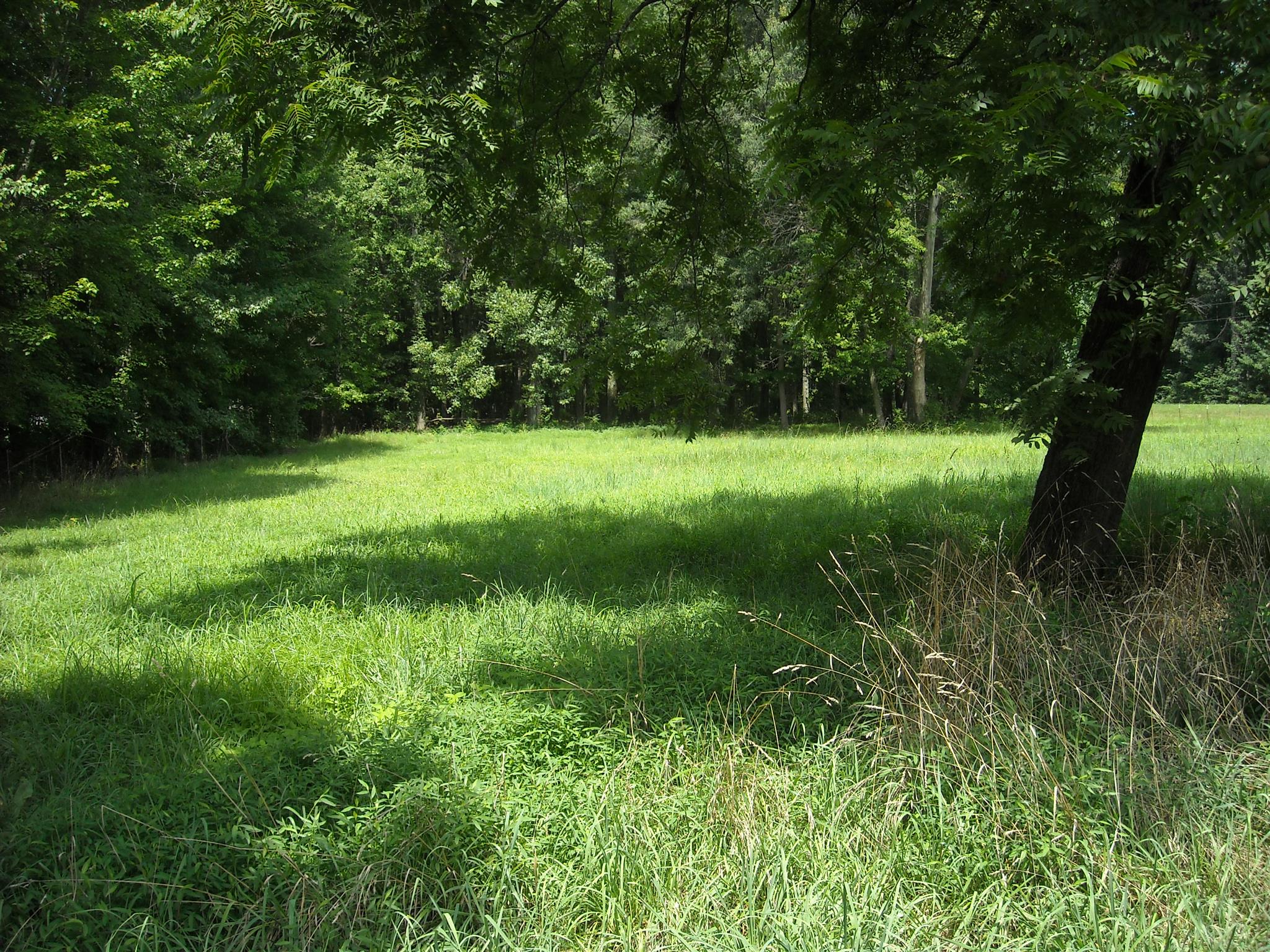 2152 Chambliss Road Pleasant View, TN 37146 - Photo 22 of 24 a view of a lush green space
