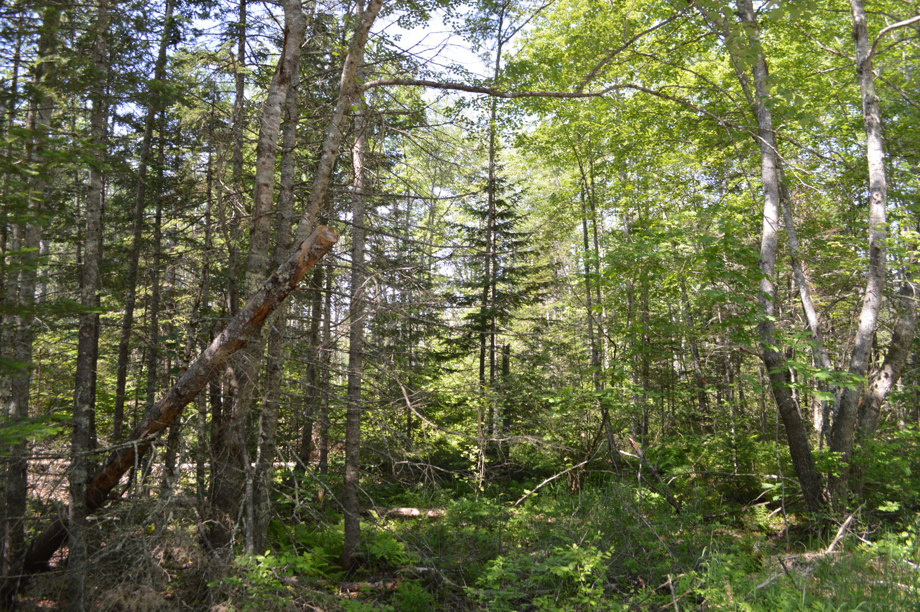 196 Chapel Road Waldoboro, ME 04572 - Photo 10 of 20 .