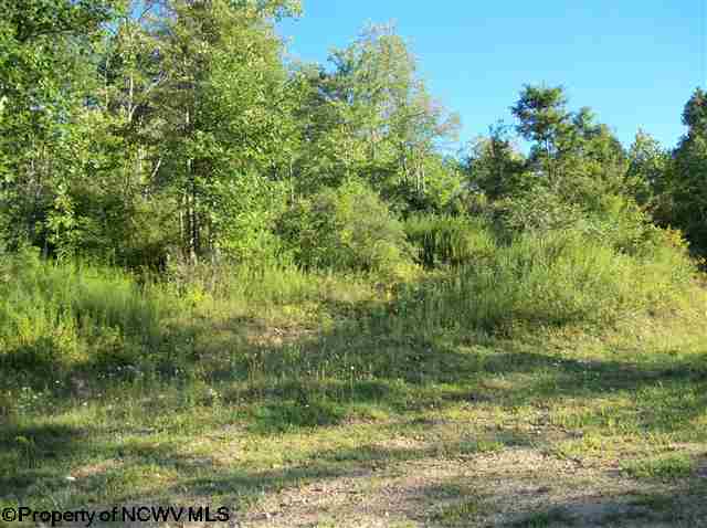 177 Craig Run Road Rivesville, WV 26588 - Photo 2 of 2 Gallery Image 2