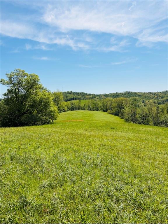 0 Lyons Road Claysville, PA 15323 - Photo 1 of 5