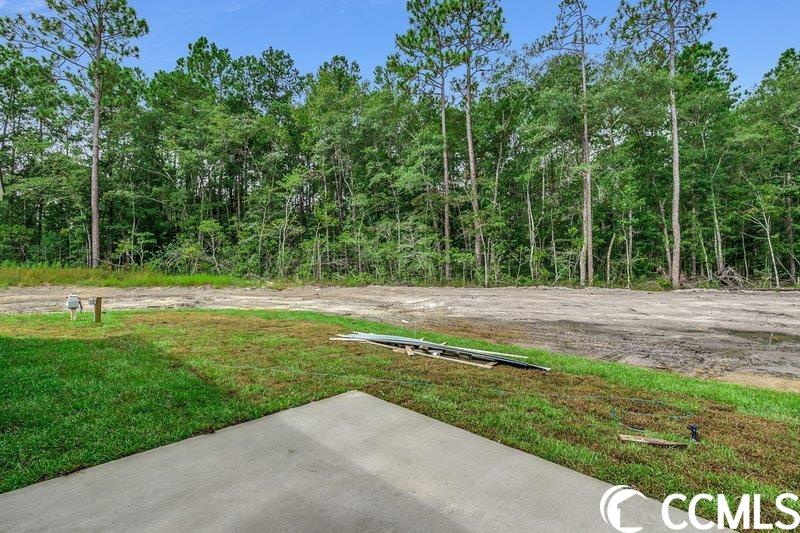 1178 Gilbert Road Conway, SC 29527 - Photo 19 of 20