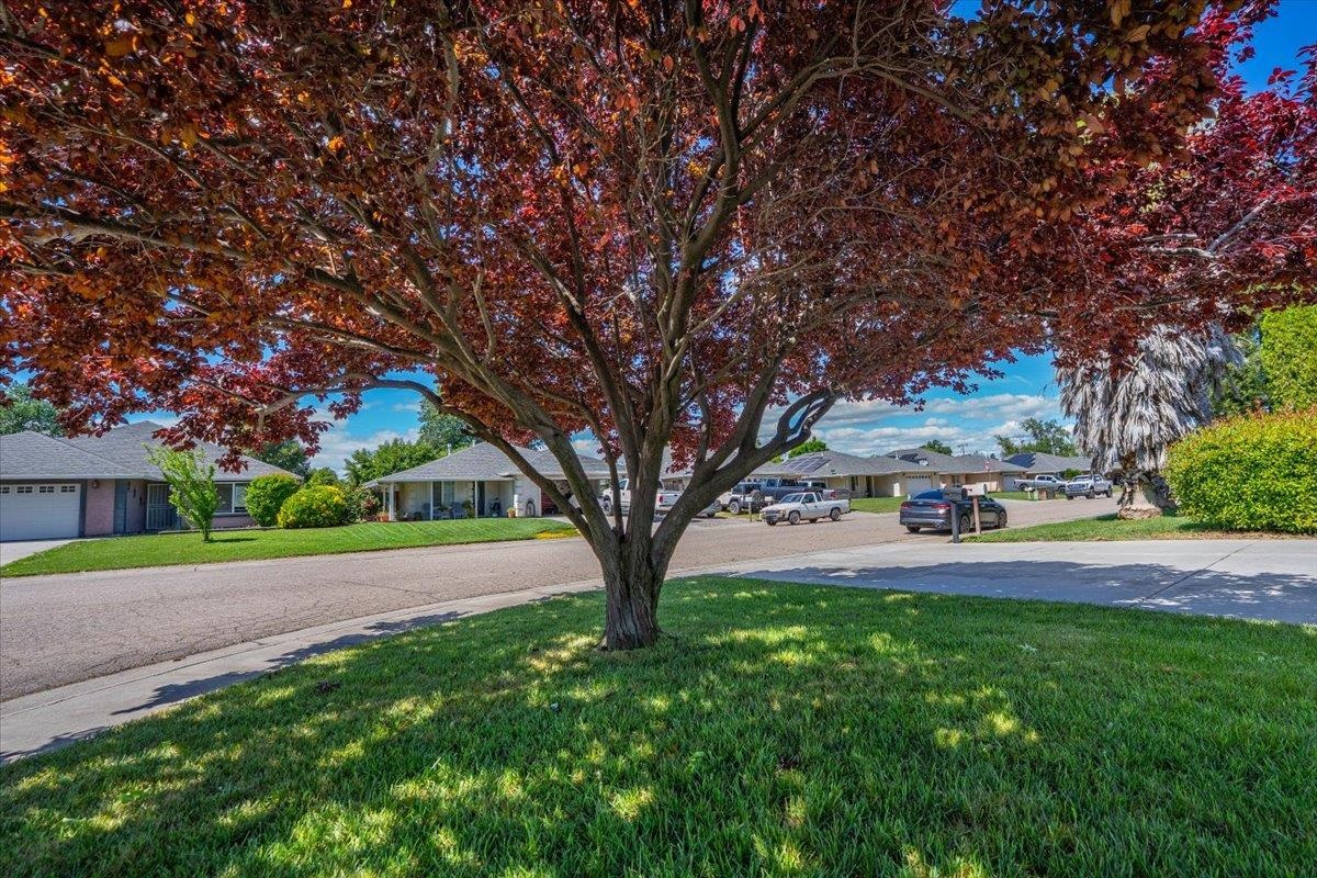 245 Shelley Way Red Bluff, CA 96080 - Photo 57 of 63
