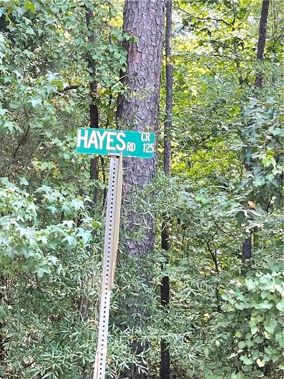 0 Felton Mcmichael Road Monticello, GA 31064 - Photo 7 of 9