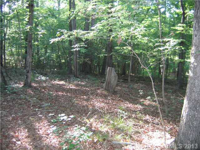 6400 Old Ridge Road Waxhaw, NC 28173 - Photo 11 of 15 a backyard of a house with lots of green space and tree